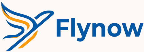 Flynow Logo